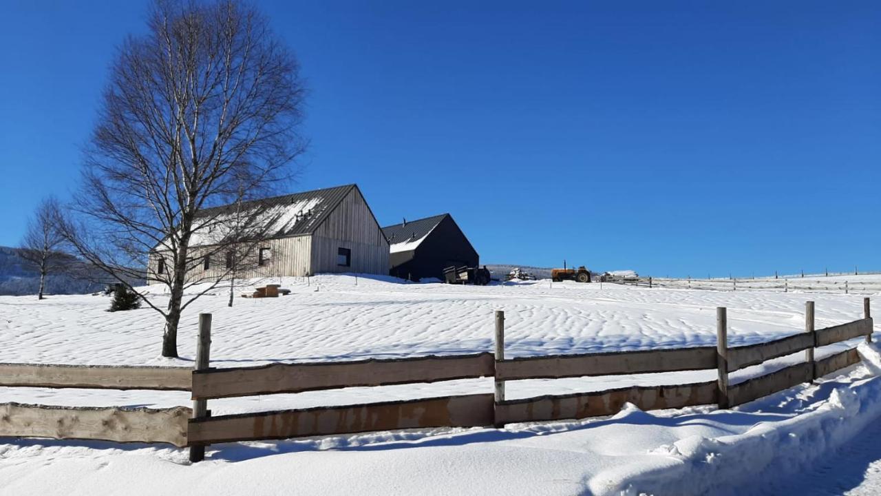 Wzgórze Owiec Sheep Hill Mostowice Exterior foto